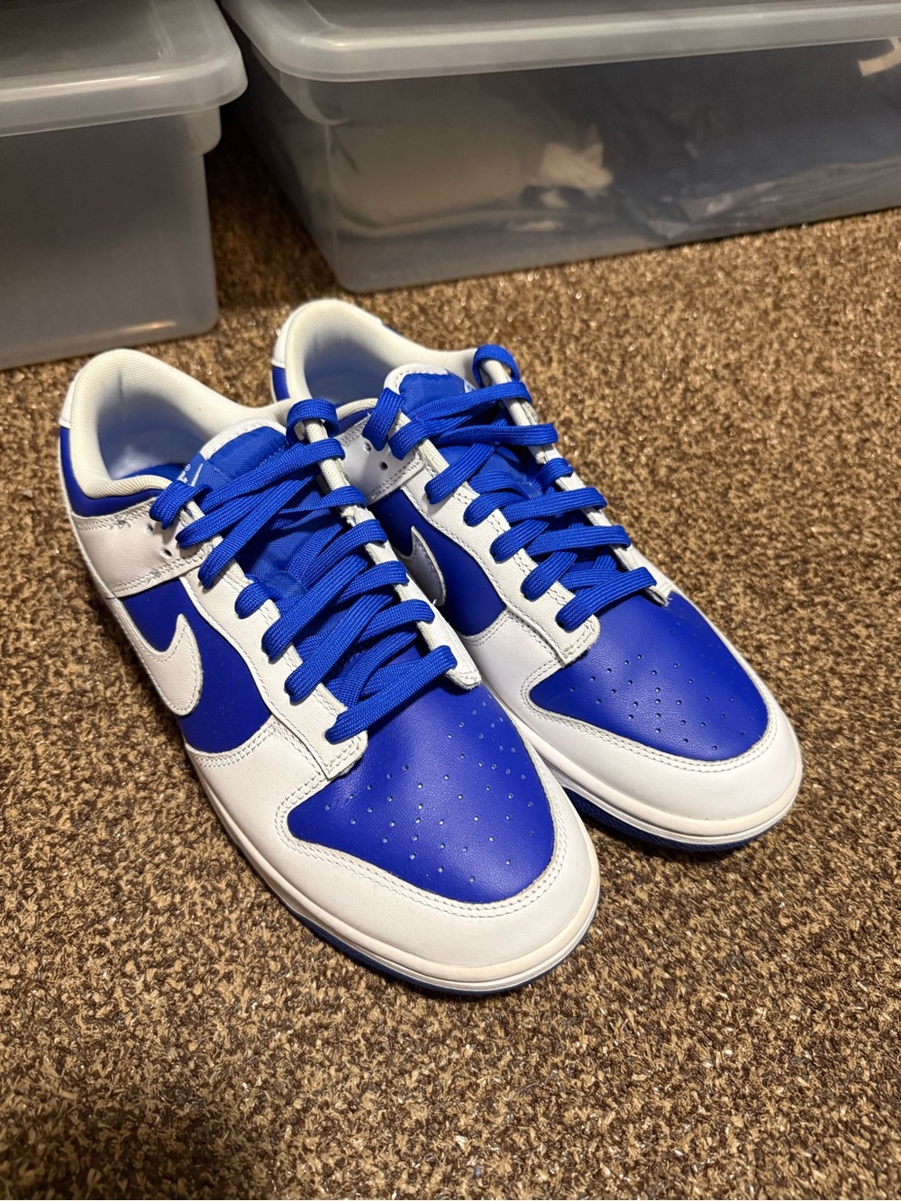 Nike Men’s Low Top Sneakers in Blue and White